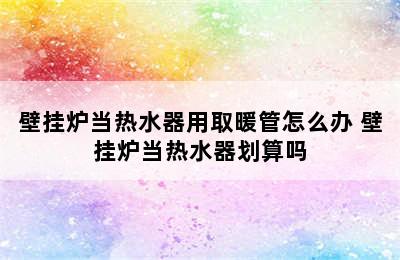 壁挂炉当热水器用取暖管怎么办 壁挂炉当热水器划算吗